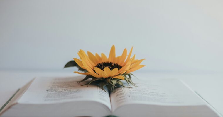 13 Scriptures to Help Calm Crippling Anxiety